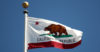 09.27.16 - Californian Flag