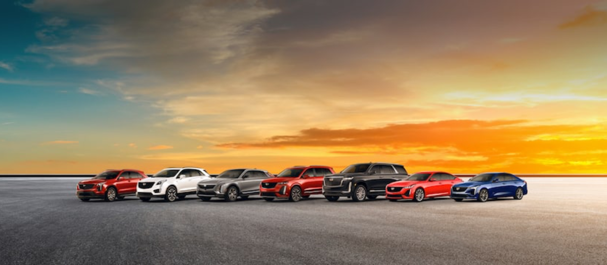 Used Cars line up