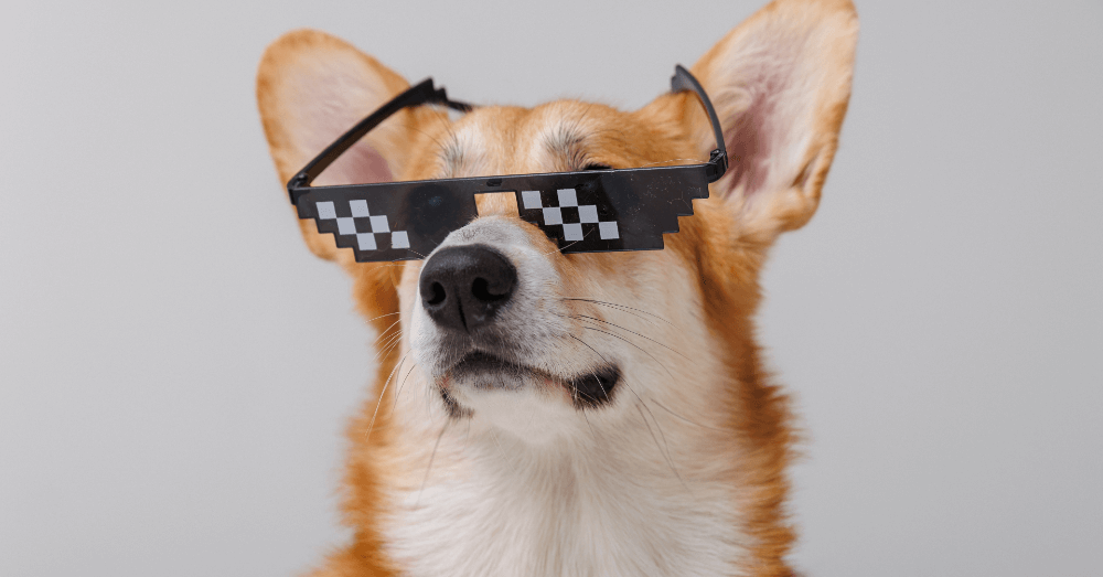 When Brands Try to Be Cool on the Internet (And Why It Usually Backfires)